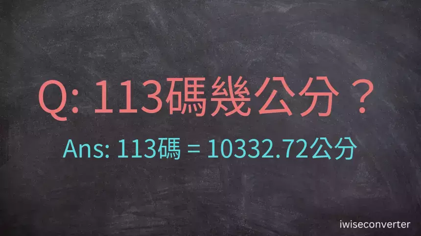 113碼幾公分？