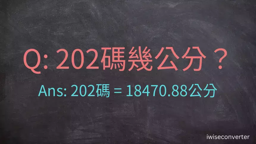 202碼幾公分？