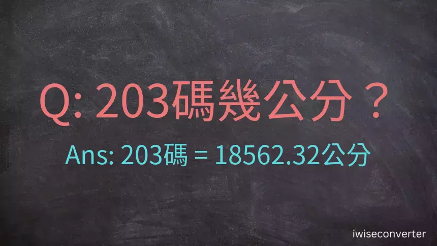 203碼幾公分？