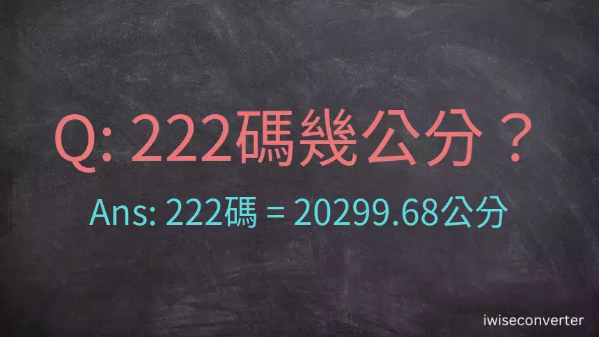 222碼幾公分？